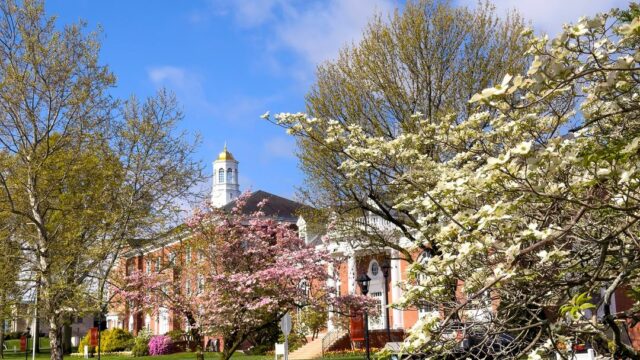 Suffield Academy